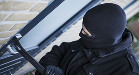 Theft Protection